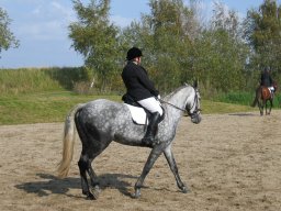 LF HSC - 0337_web